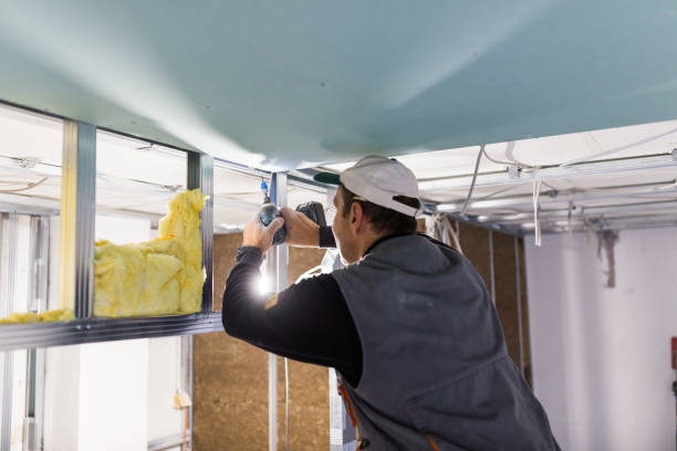 Best Eco-Friendly Insulation in Black Mountain, NC