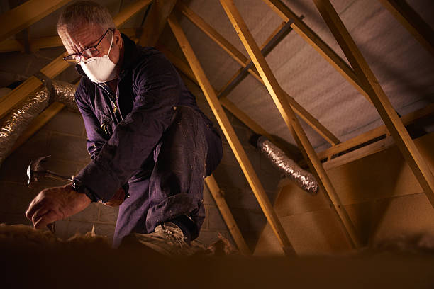 Types of Insulation We Offer in Black Mountain, NC